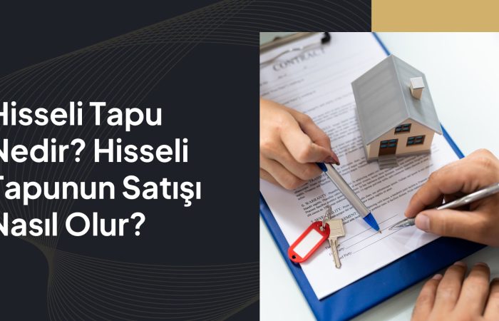 Hisseli Tapunun Satışı Nasıl Olur